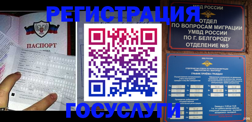 временная регистрация в квартире в Новозыбкове